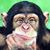 Sanjeet Dighawa's profile image