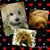 Sharece Maikui's profile image