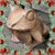 Bob Rad's profile image
