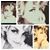 Amber Nicole's profile image