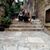 Kristen Pedersen's profile image
