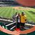 Jose Luis Acevedo's profile image