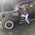 Trish Sheldon's profile image