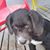 MaryAnn Green's profile image