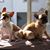 Julie Hiatt's profile image