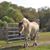 Lorraine Thomas's profile image