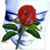 Victor Marroquin's profile image