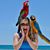 Heather Marie's profile image