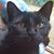 Bridget Bryan Toth's profile image