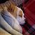 Cheryl Heuer's profile image