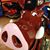 Don Collick's profile image