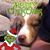 Stacey Boston Smith's profile image
