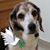Chuck Calabrese's profile image
