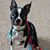 Ken Gerwig's profile image