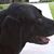 Elizabeth Guidry's profile image