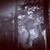 Mehwish Butt-Hussain's profile image