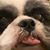 Pamela Kerns's profile image
