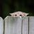 Bea Ruebbelke's profile image