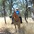 Pam Lindsay's profile image