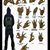Hama Rock Rock's profile image
