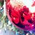Dan Bomar's profile image
