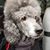 Bonnie E Kramer's profile image