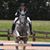 Brittney Dodson Caflisch's profile image