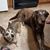 Jessica Sprague's profile image