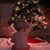 Amy Renee's profile image