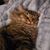 Deana Johnson Matthews's profile image