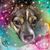 Cyndi Wilson's profile image