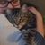 Aubrie Padgett's profile image