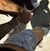 Francisco A Flores's profile image