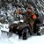 Amy Cline's profile image
