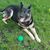 DRod Knepper's profile image