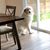 Linda Neumann's profile image