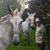 Fred Roberts's profile image