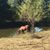 Mandy Harrell's profile image