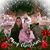 Kristen Rene McCargish's profile image