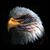 Harriet Wright's profile image