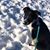 Holly Wallock's profile image