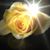 Stephanie Carter's profile image