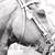 Sherry Lasseter's profile image