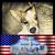 Justina Foster's profile image