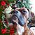 Carol Matthew Hodge's profile image