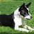 Claire Black Slotton's profile image