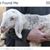 Clifford Hackett's profile image