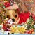 Joyce Angell's profile image