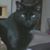 Steven Stobart's profile image