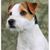Charles Hickey's profile image